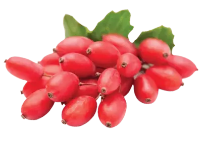 Berberine